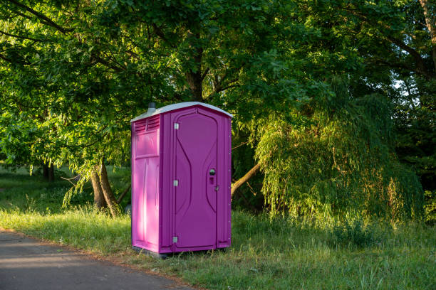 Best Handicap porta potty rental  in Ballville, OH
